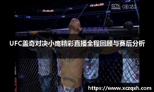 UFC盖奇对决小鹰精彩直播全程回顾与赛后分析