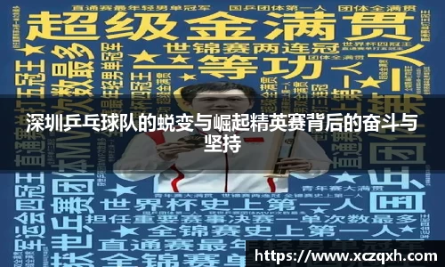 深圳乒乓球队的蜕变与崛起精英赛背后的奋斗与坚持
